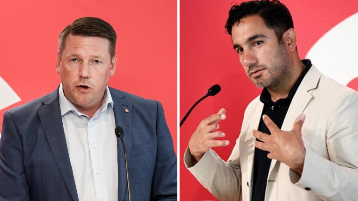 S vill bygga ut pensionstillägget.