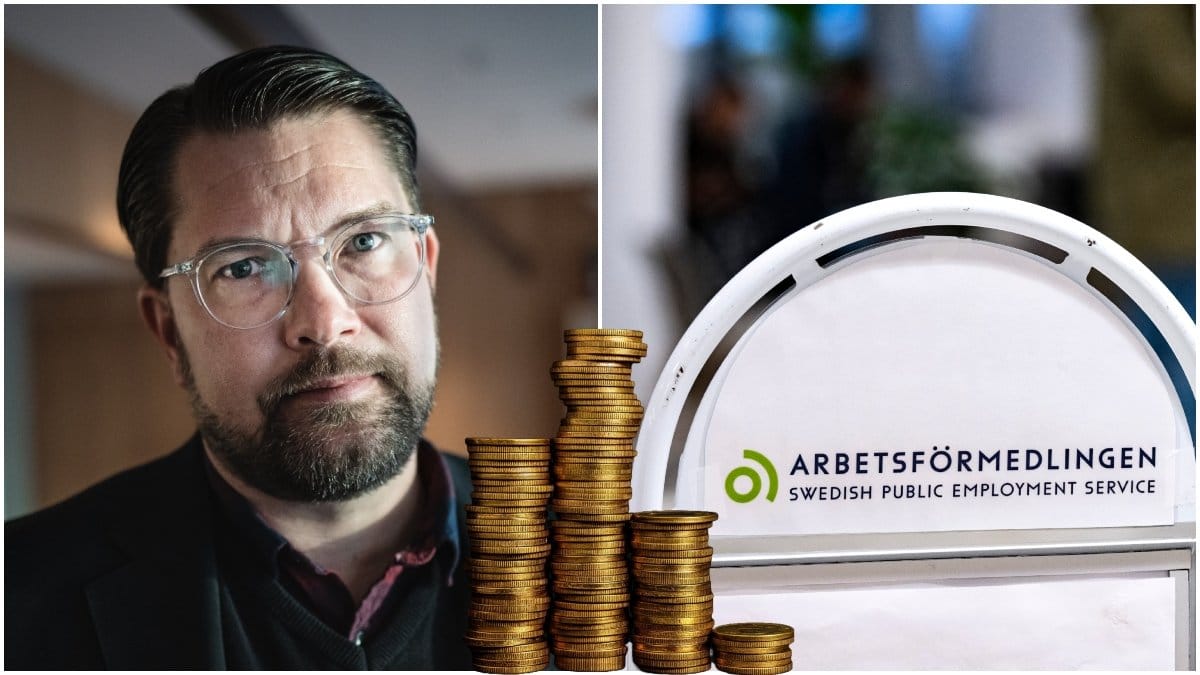Jimmie Åkesson och Sverigedemokraterna vill ge 350 000 kronor till de arbetslösa som återvandrar.