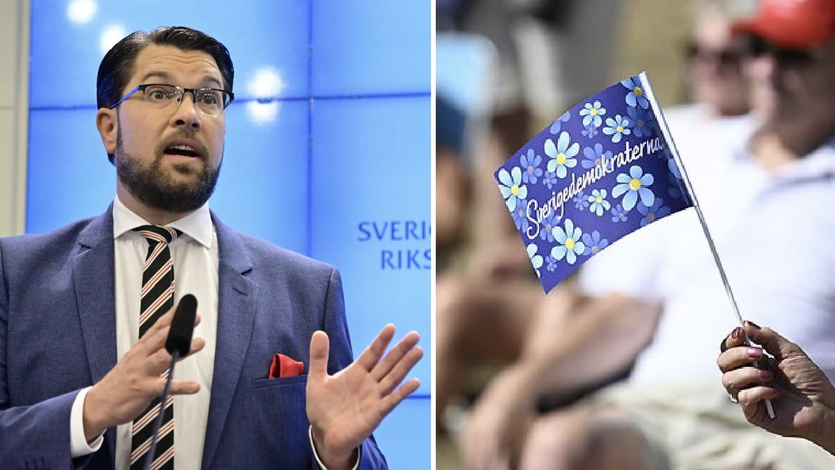 SD-politikerna Rebecca Ädel har spridit nazistisk propaganda under flera år. 