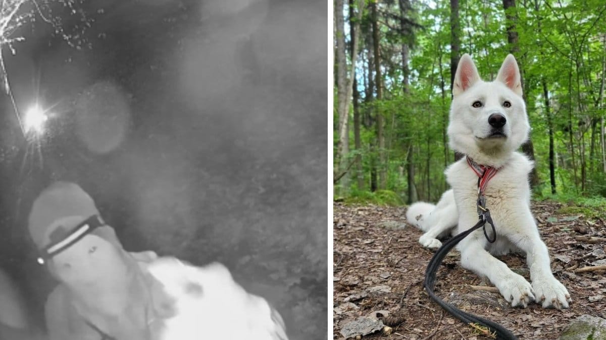 Bild från övervakningskamera & Isidor
