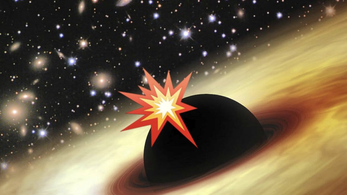 Tva-svarta-hal-har-kolliderat