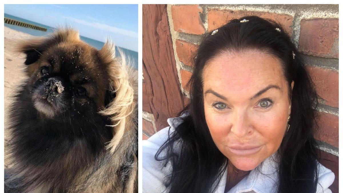 Charlotte Wechlin och hunden Arvidh attackerades av våldsmannen i Ystad.