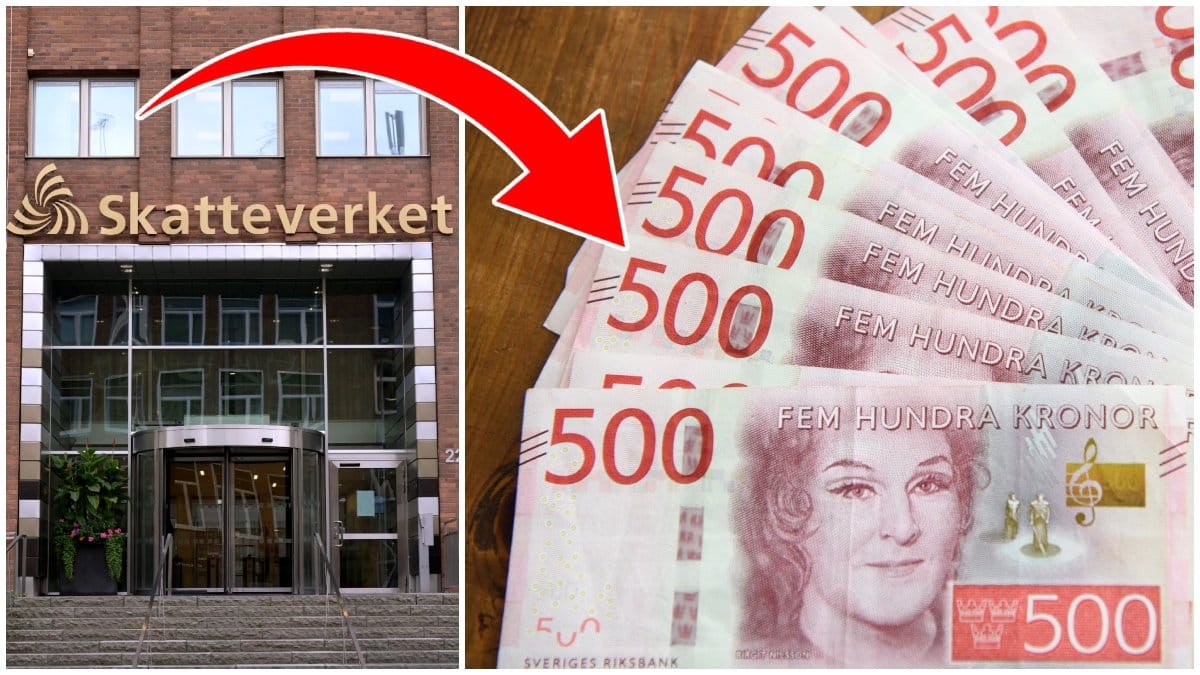 Skatteverket har genomfört en omfattande kontroll. 