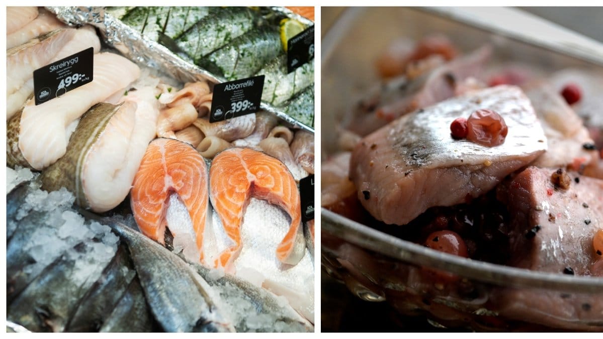 Fisken att se upp för i sommar – kan vara en hälsorisk
