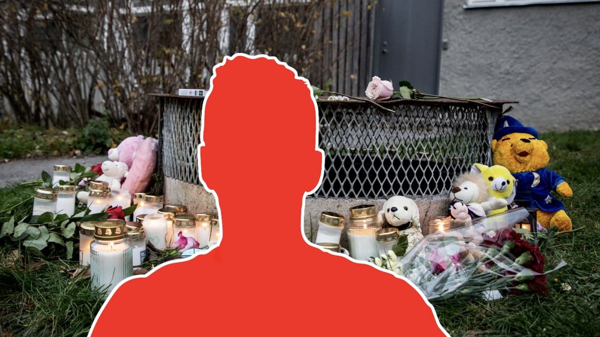 Hässelbypappan döms till vård.