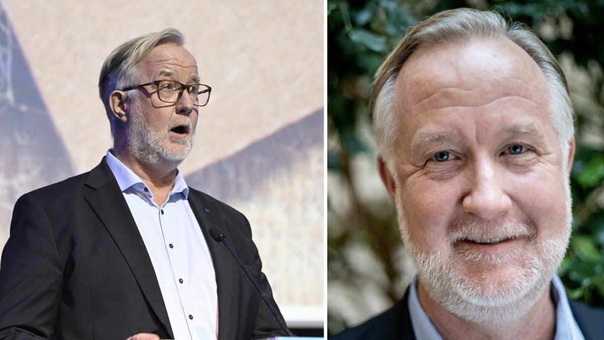 Johan Pehrson har nu formellt valts till ordinarie partiledare för Liberalerna.