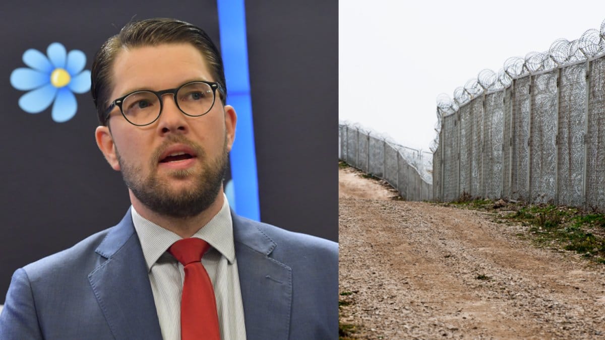 Jimmy Åkesson vill att Sverige är med och bygger stängsel mot Turkiet