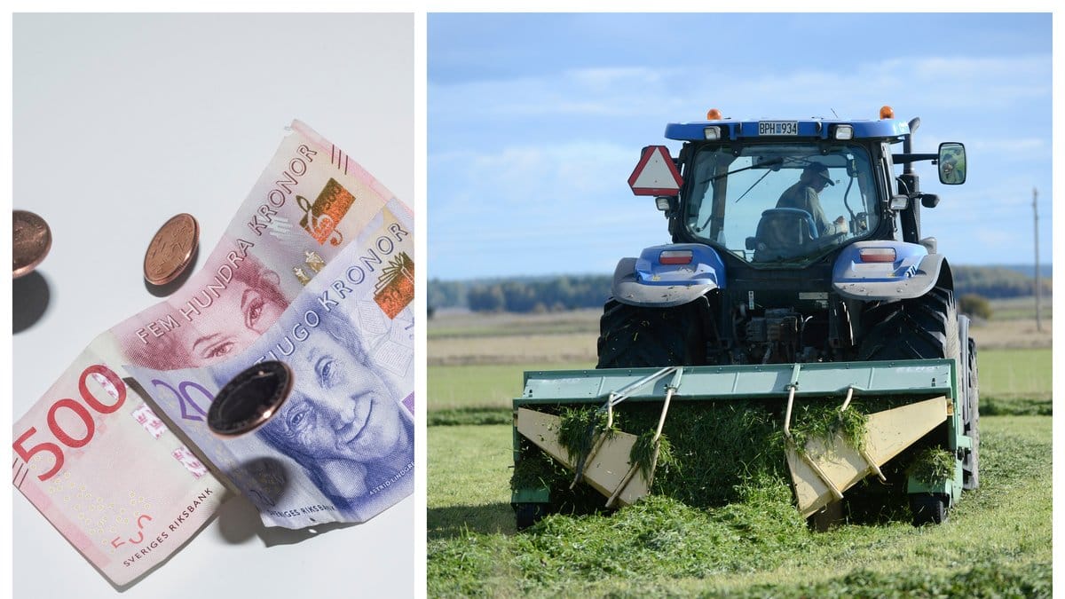 Regeringen väntas presentera ett krisstöd till bönder.