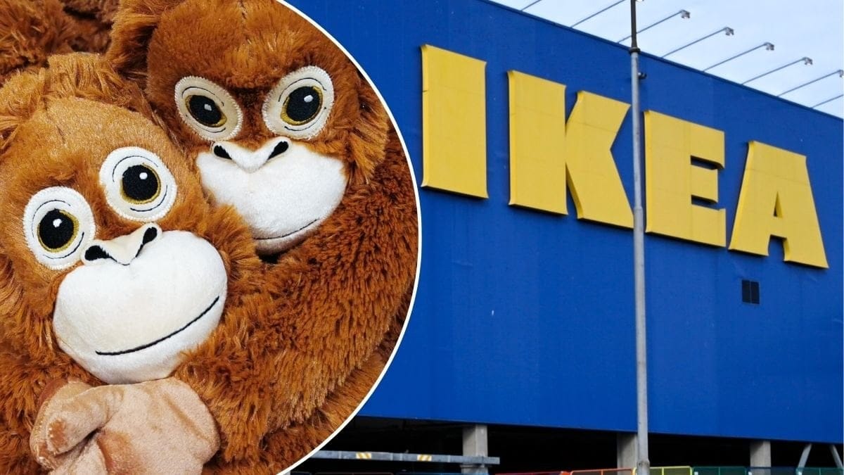 Bild på gosesjuret Djungelskog och Ikeas varuhus.