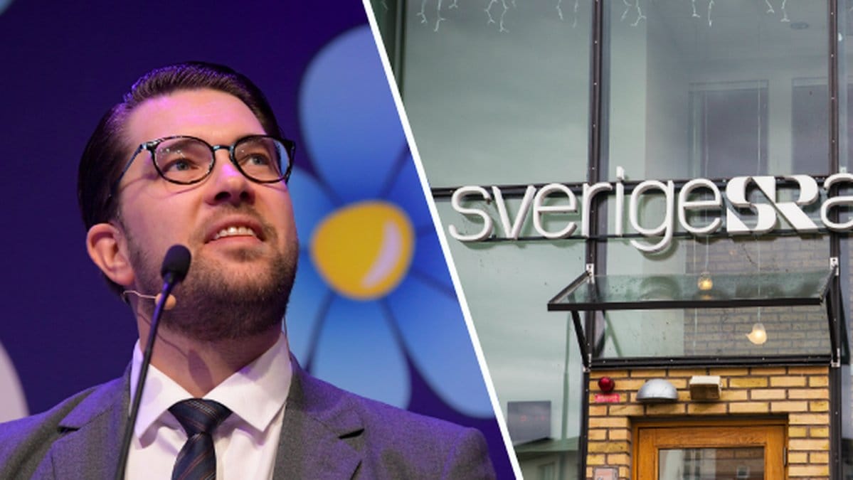 SD vill slopa public service.