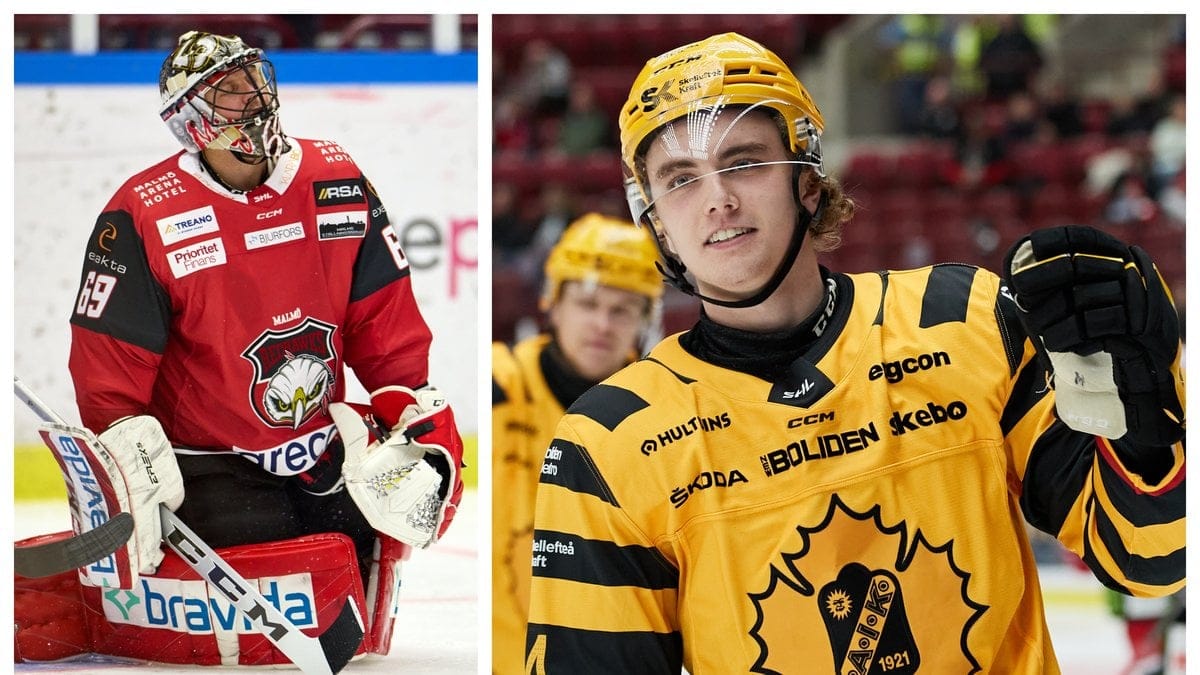 Skellefteå AIK mötte Malmö Red Hawks under söndagen.
