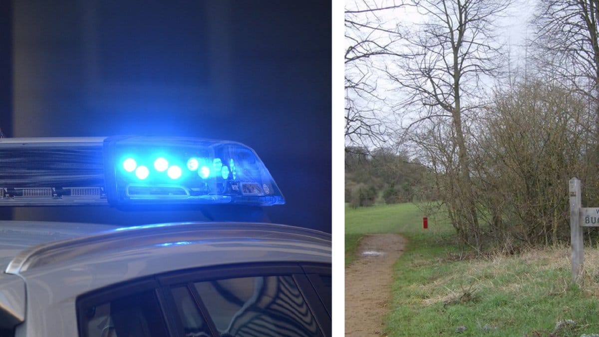 13-pojke knivhöggs till döds i park