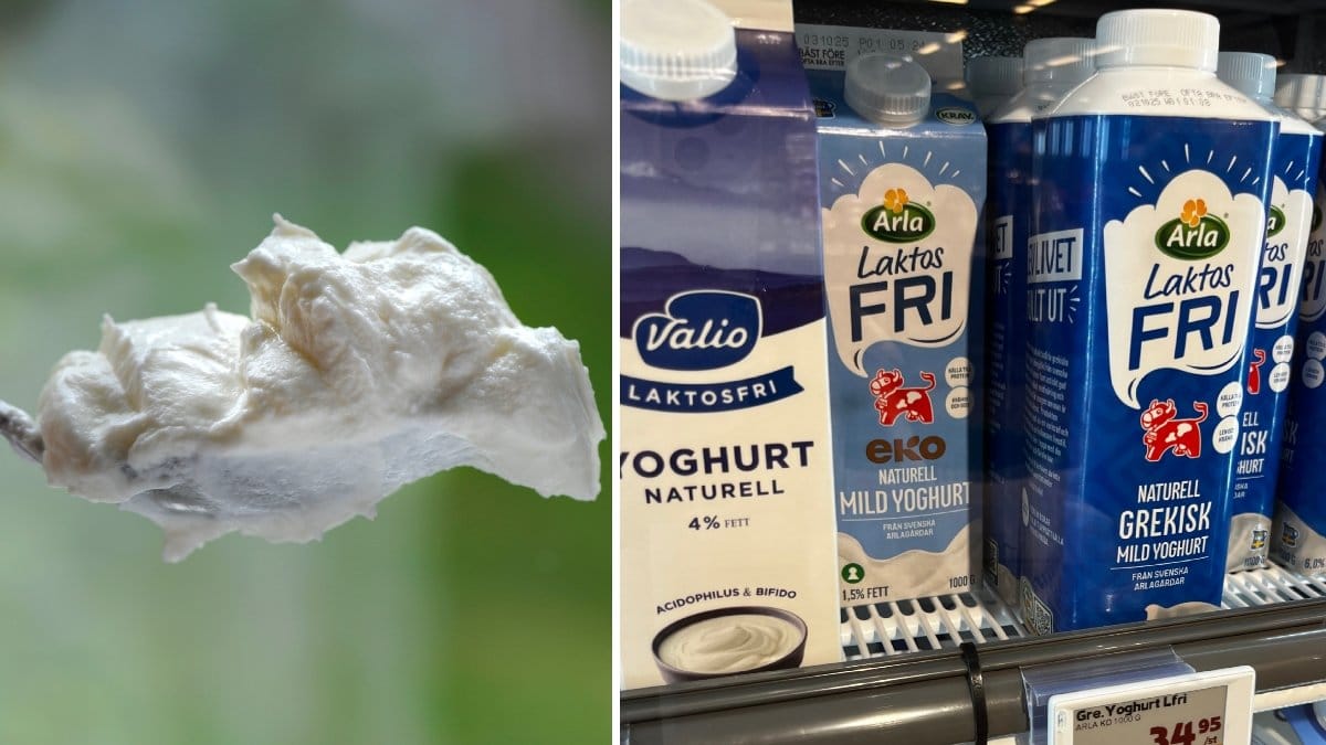 Bilder på yoghurt.