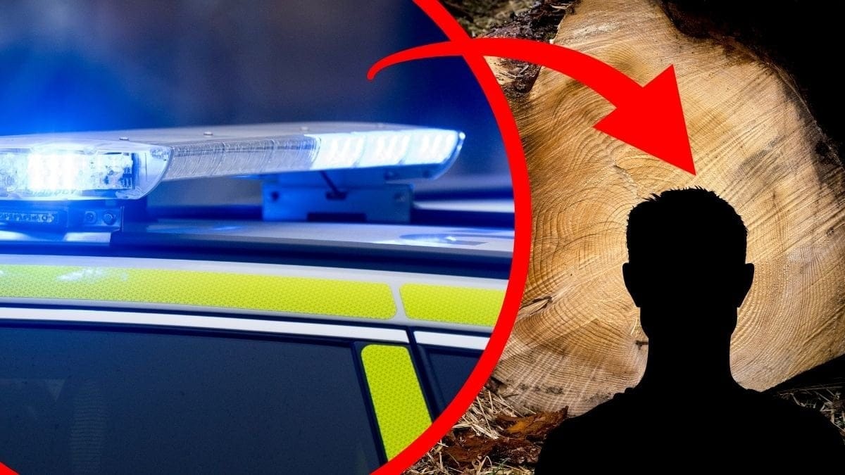 Blåljus vänster. Träd avhugget höger. Siluett av en man höger.