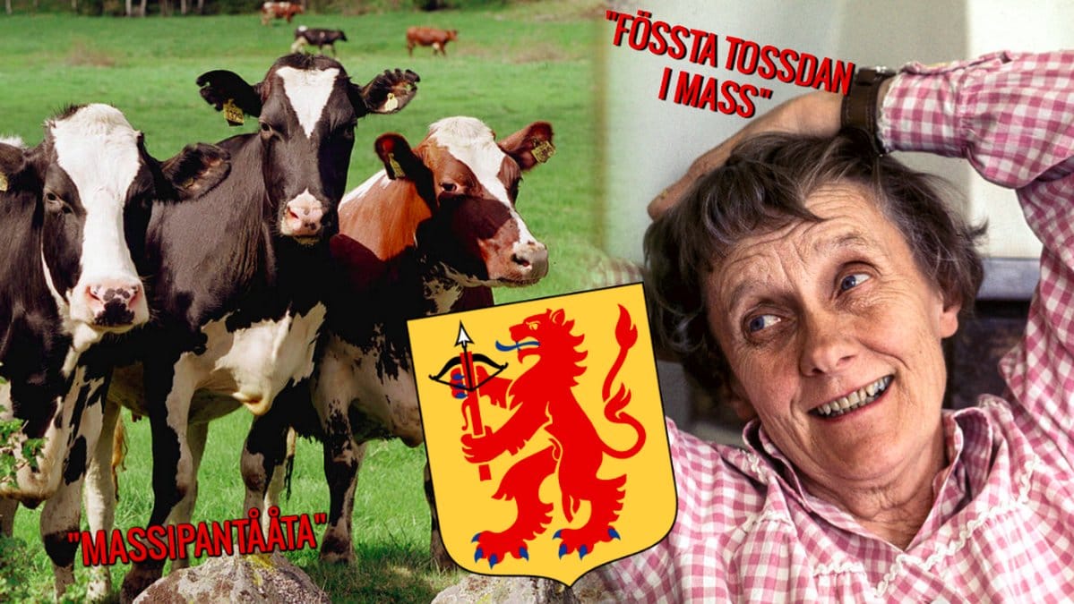 Några kor, Astrid Lindgren och Smålands landskapsvapen