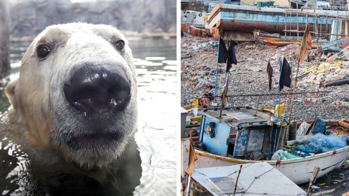 FN:s stora klimatrapport gav tunga besked.