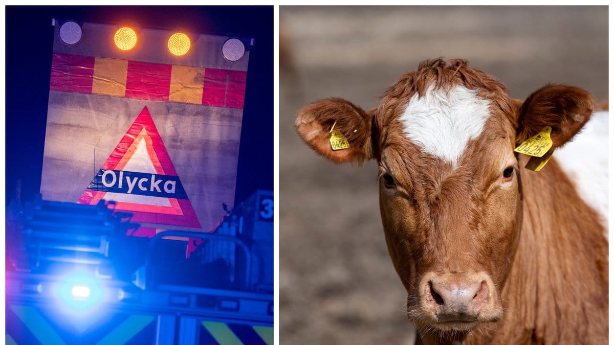 Polisen misstänker inget brott efter olyckan på Öland.