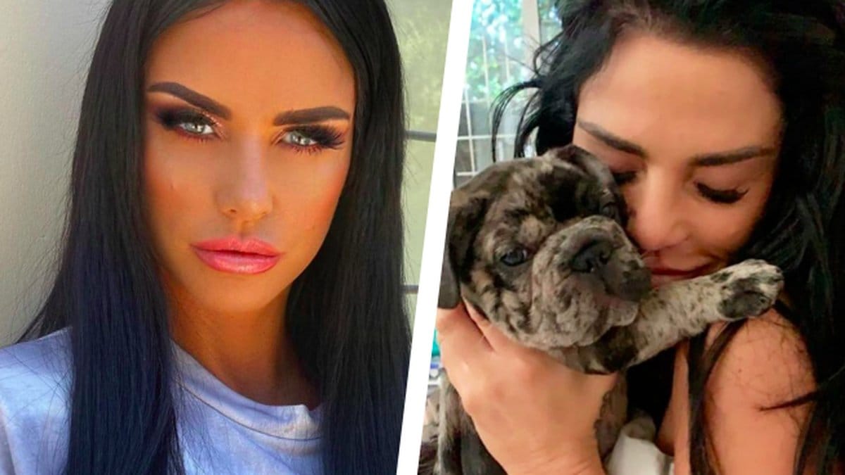 Katie-Prices-hundvalp-kvavdes-till-dods