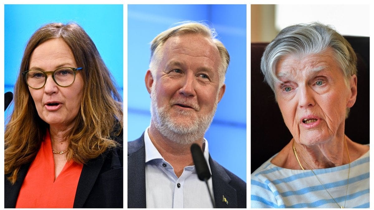 Vilka riksdagsledamöter toppar lönelistan inom Liberalerna?