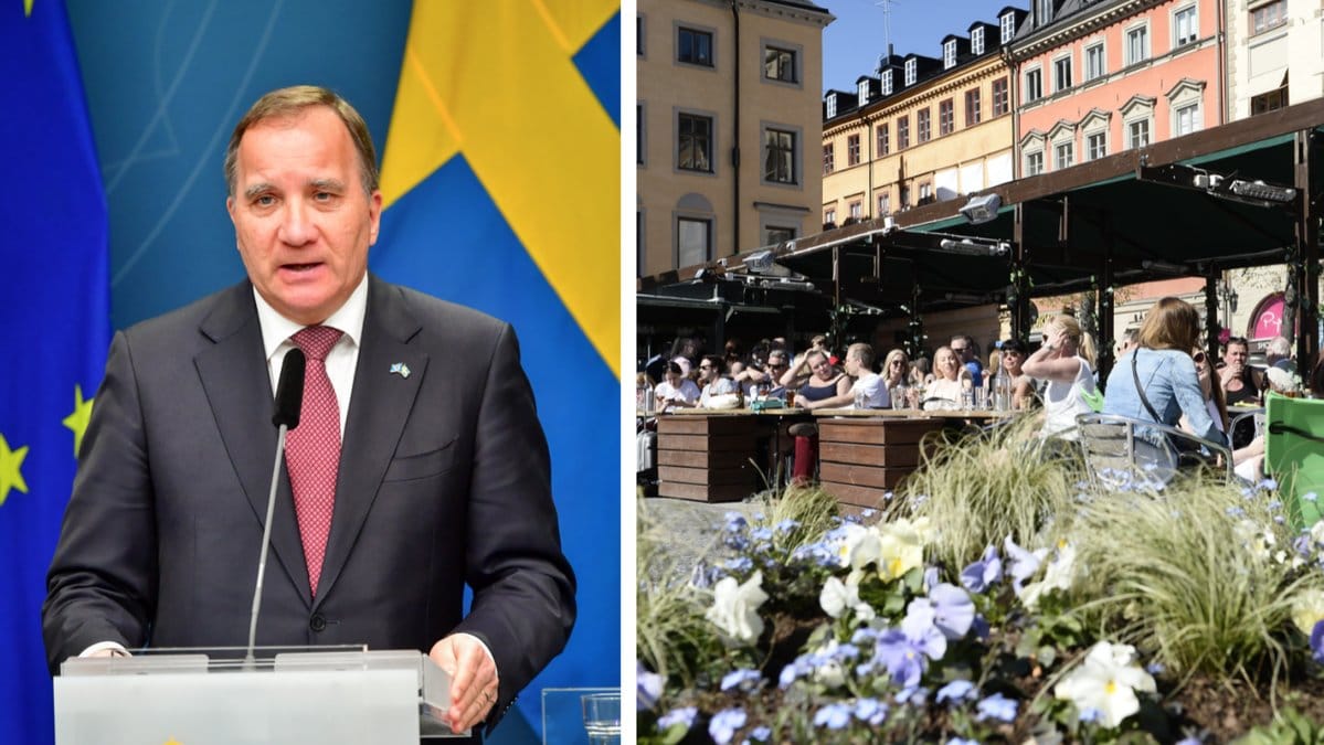 Iréne Svenonius vill att regeringen skyndar på planen.