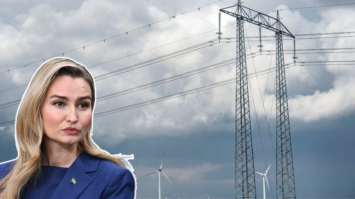 Ebba Busch, elnät, Sverige