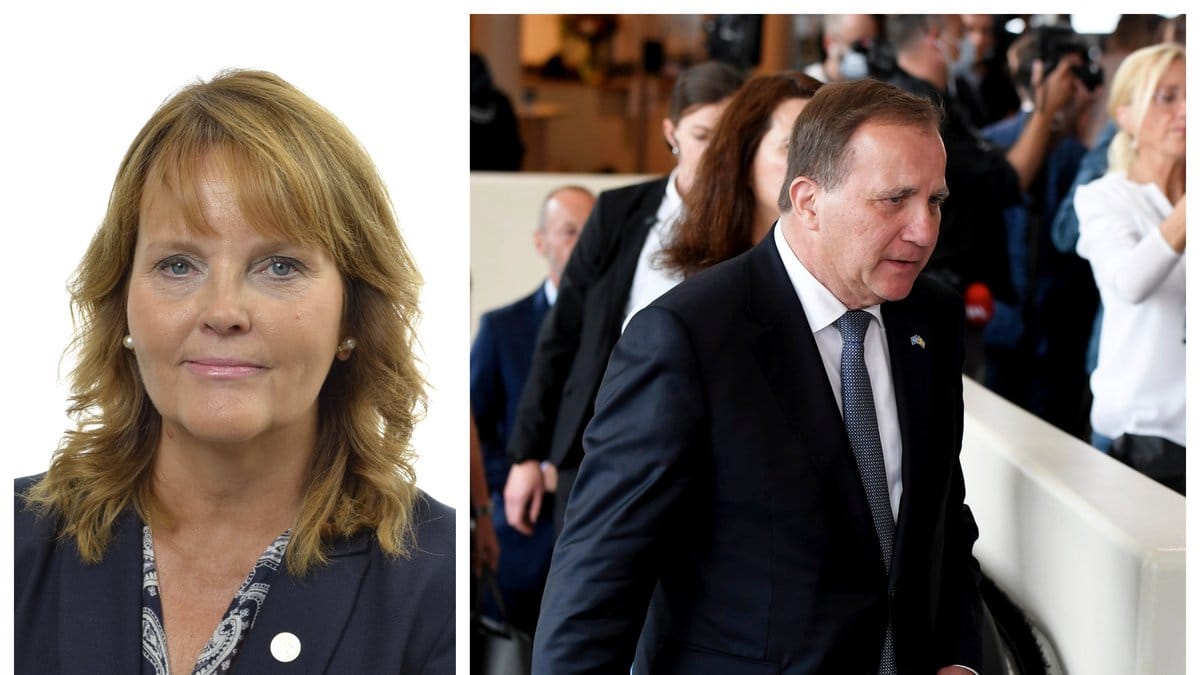 Liberalernas Nina Lundström gick emot den egna partilinjen och släppte fram Stefan Löfven (S) som statsminister.