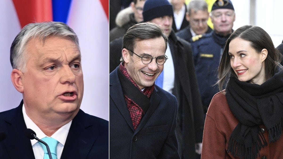 Ungerns premiärminister Viktor Orbán säger sig vara för att Sverige och Finland.