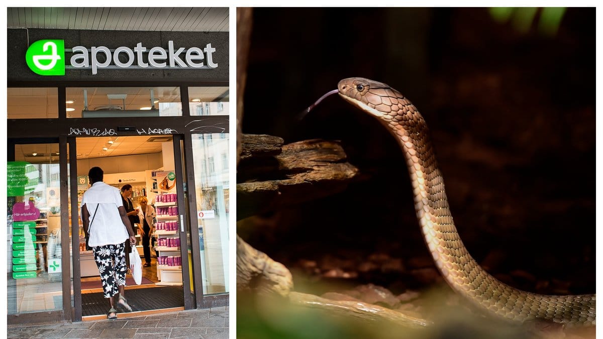 Apoteket bad skämtsamt Skansen om ursäkt.
