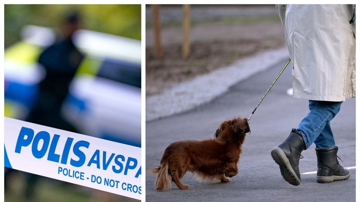 Hunden attackerades i Skogås.