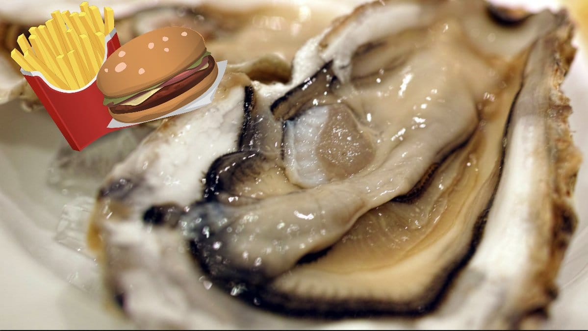 a-paverkas-vaginan-av-snabbmat