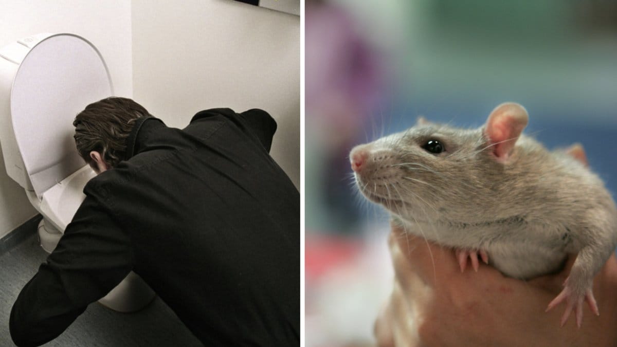 I brödpaketet fanns det en hårresande upptäckt.