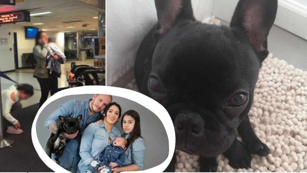Familjen Castano tvingades ha sin hund i handbagageutrymmet