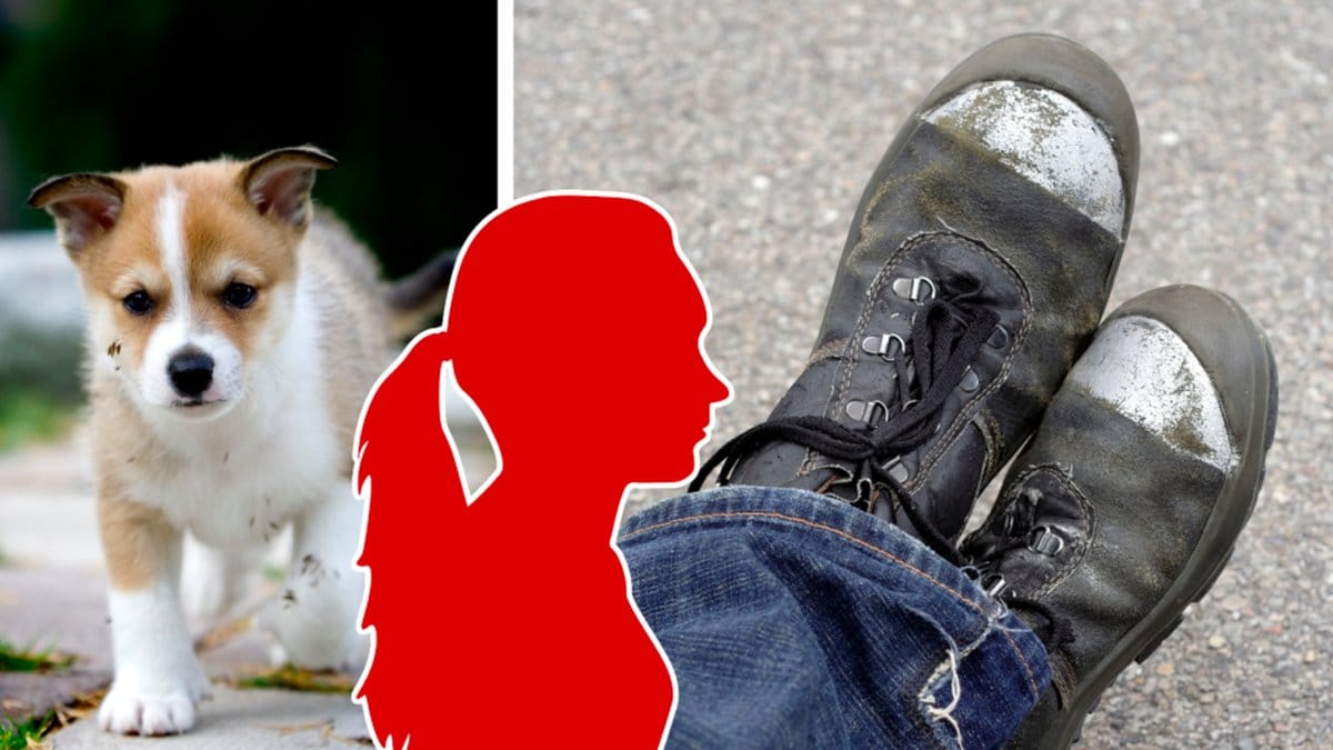 Kvinnan misstänks för djurplågeri och brott mot djurskyddslagen.