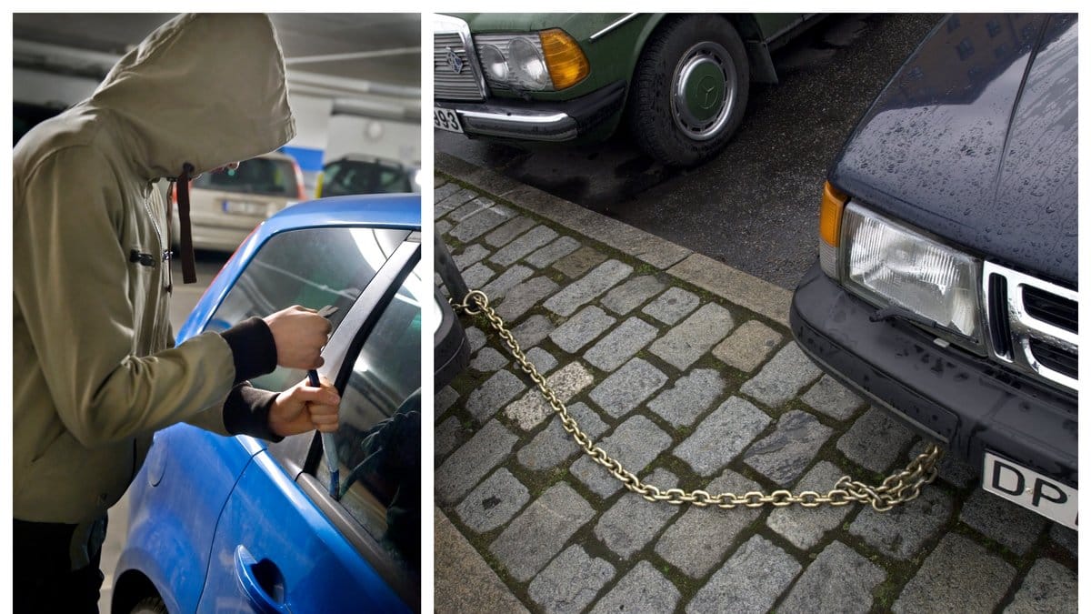 Vilket bilmärke snor tjuvarna helst? 