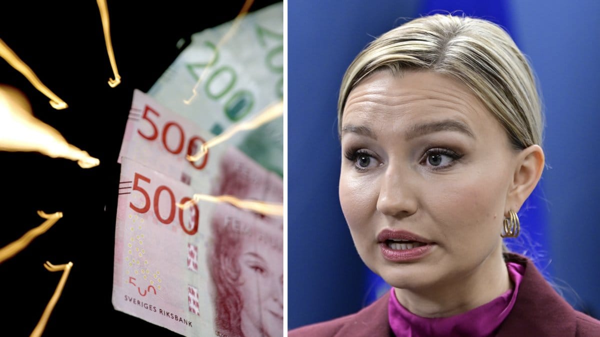 Regeringen har utlovat elstöd