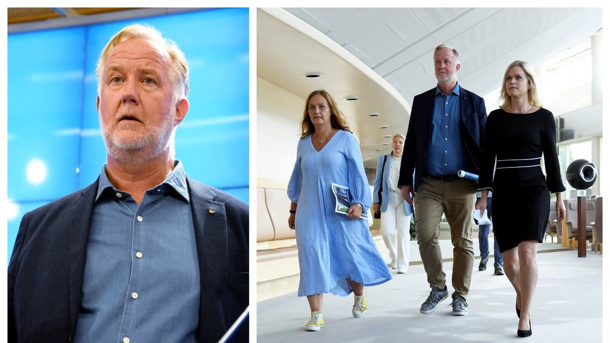 Liberalerna vill göra misshandel mot barn till ett särskilt brott.