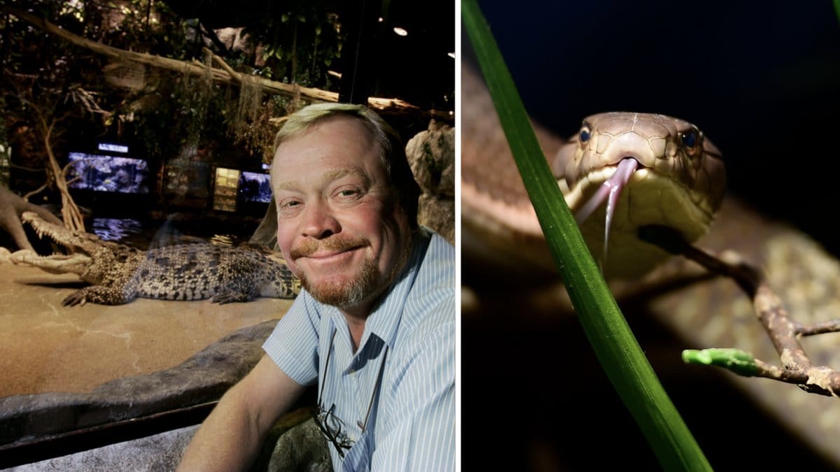 Här är skandalerna på Skansen vi minns
