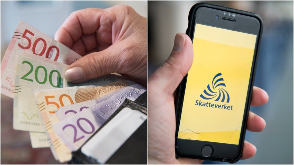 I år har Skatteverket en utvald grupp under luppen. 