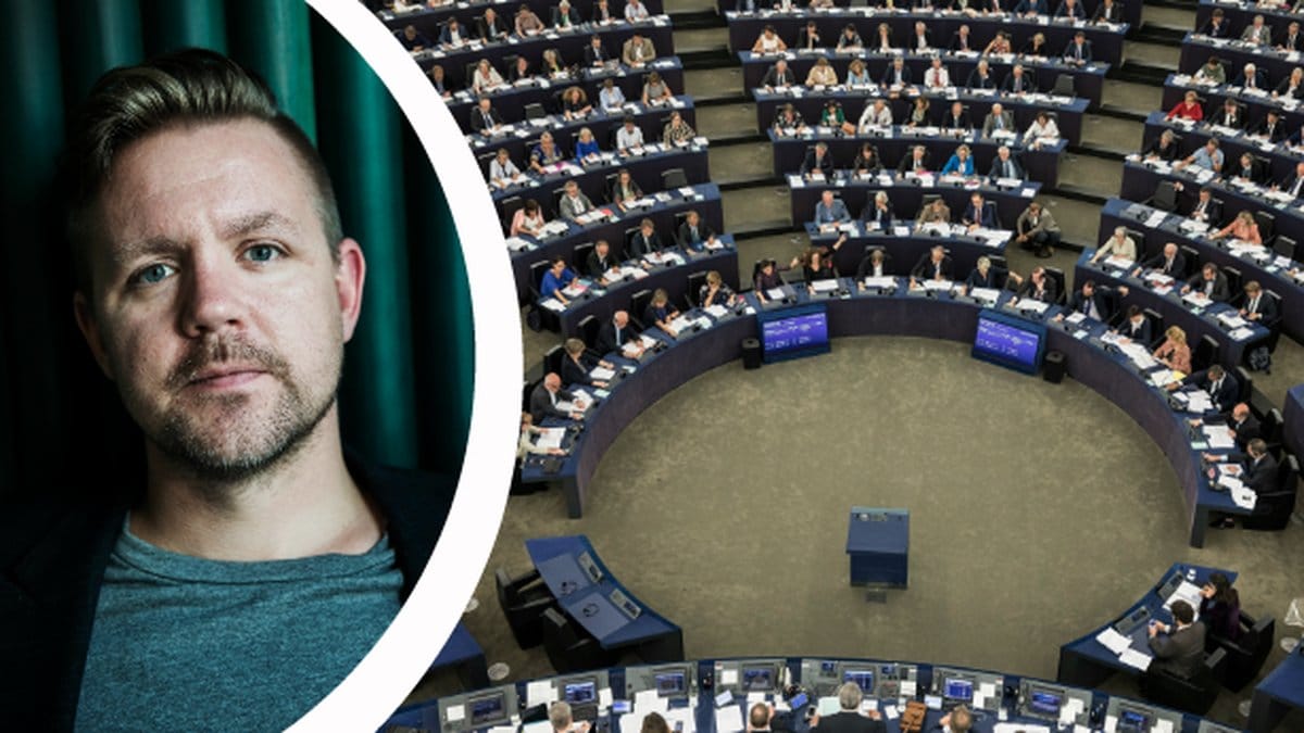 Fredrick Federley, Europaparlamentet.