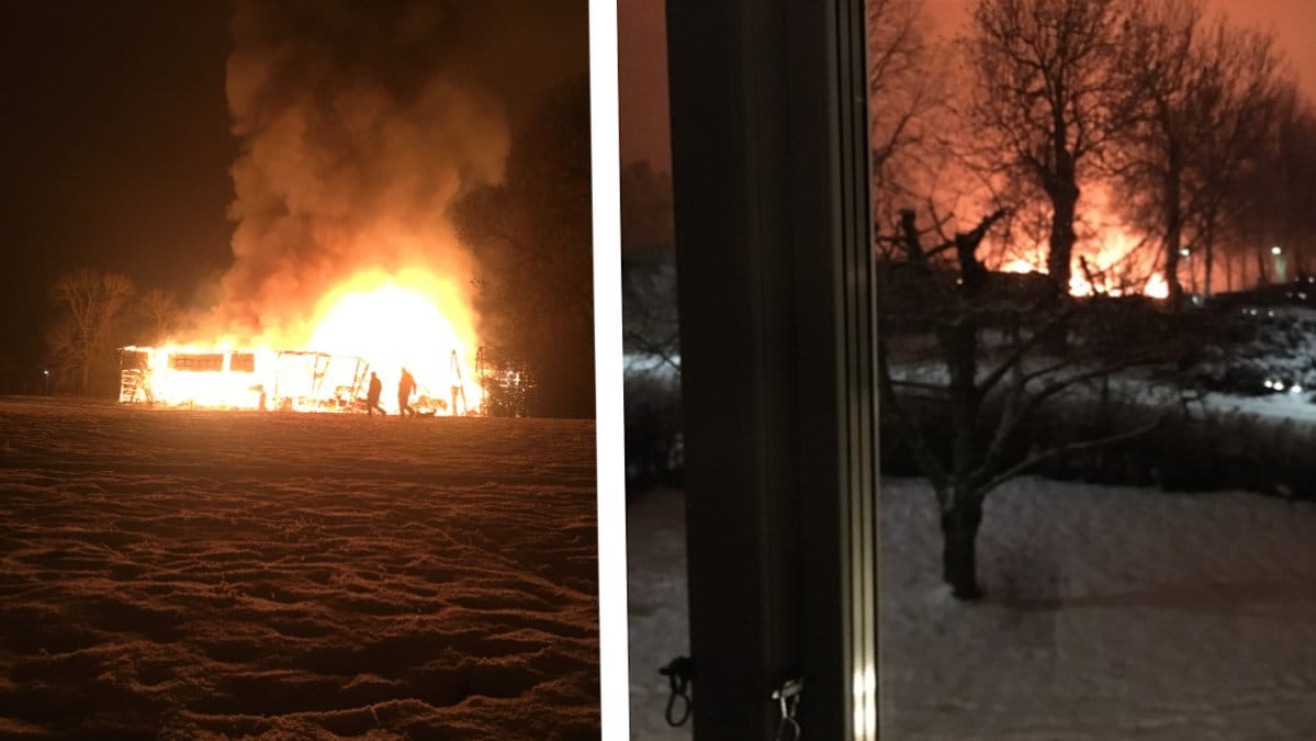 brand