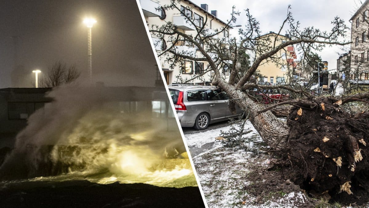 Höga vågor, träd fallit på bil