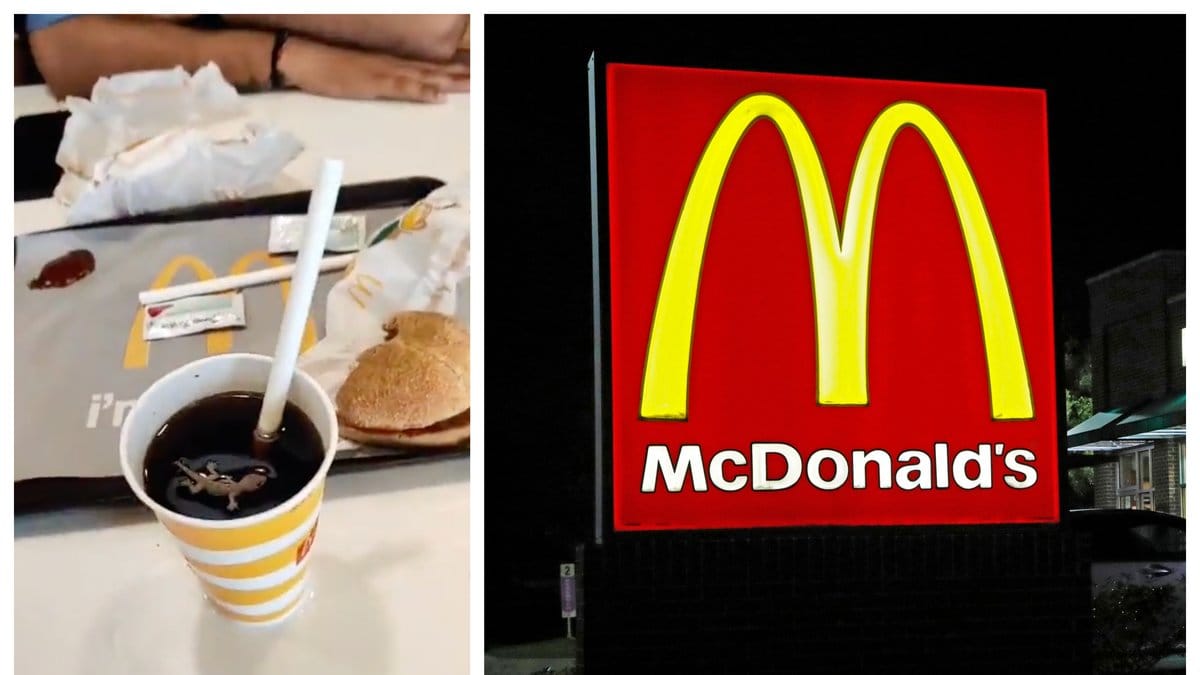 Bhargav Joshi hittade en ödla i sin läsk på McDonald's.