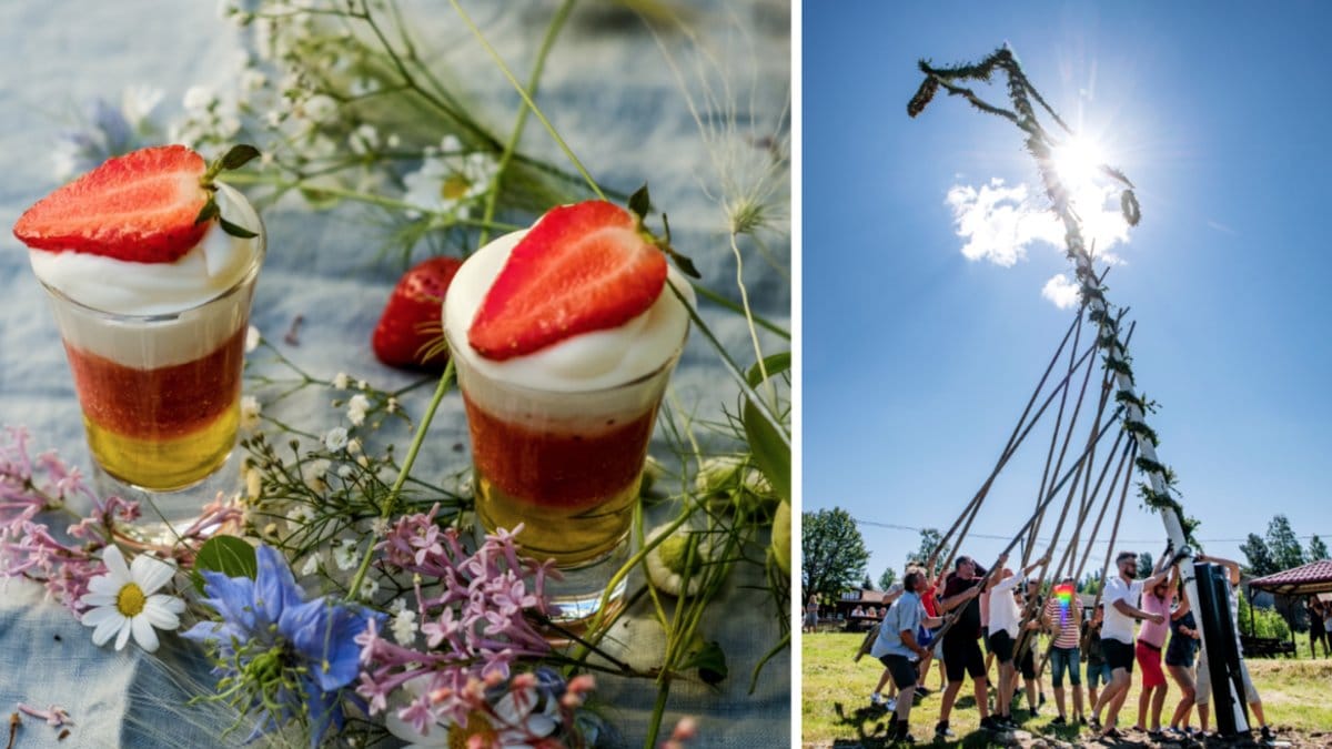 Midsommarshoten och människor som reser en midsommarstång.