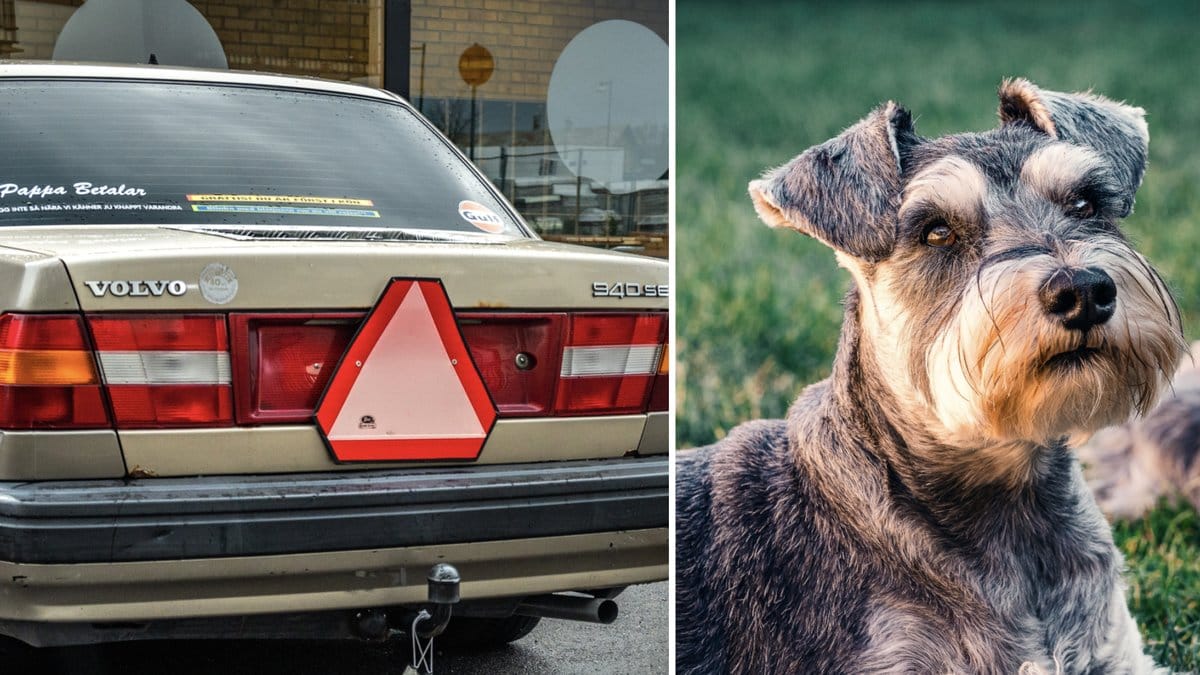 Sladdande A-traktorförare förstörde hundarnas bana