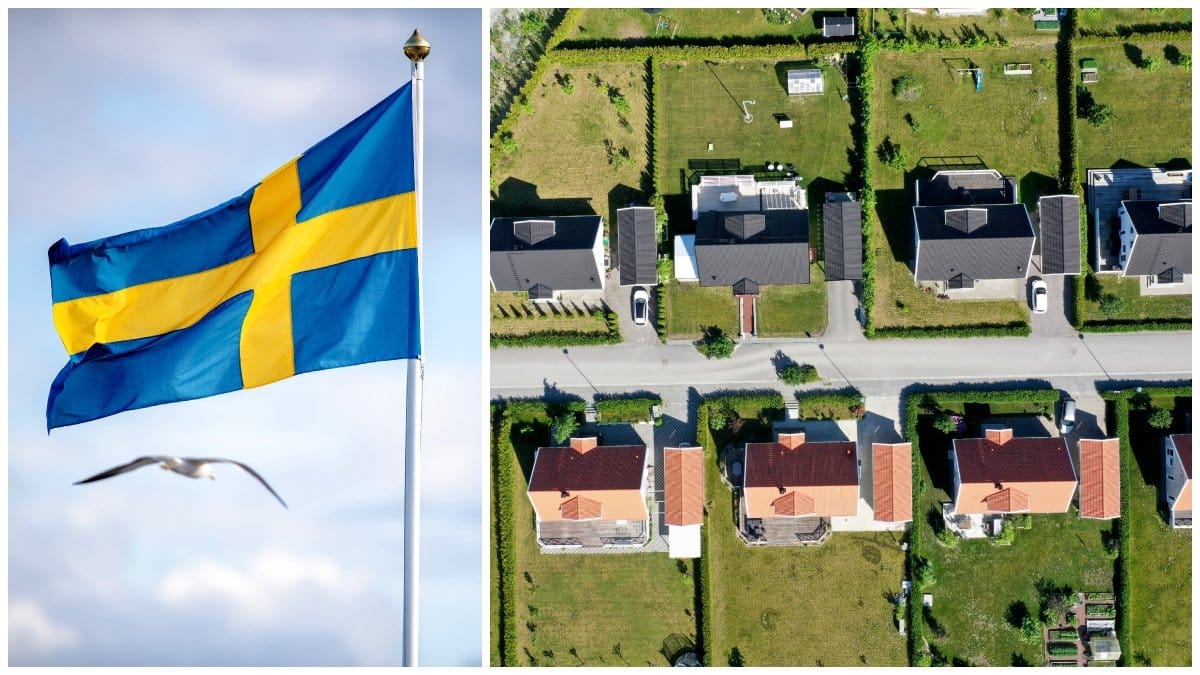 Bilderna är genrebilder.