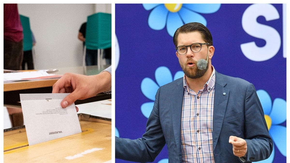 Valet 2022 närmar sig. Vad står Sverigedemokraterna för?