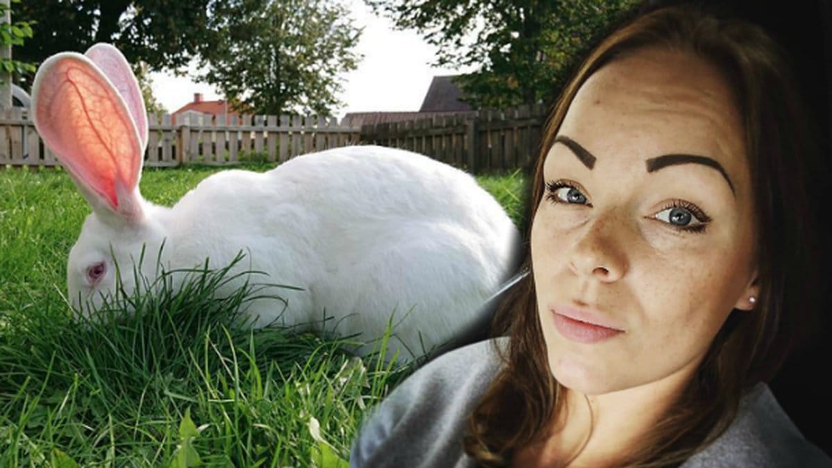 Vit kanin på gräsmatta. Josefine Dömstedt.