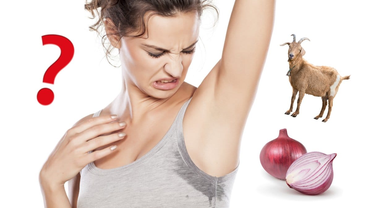 Det-finns-tre-olika-svettdofter