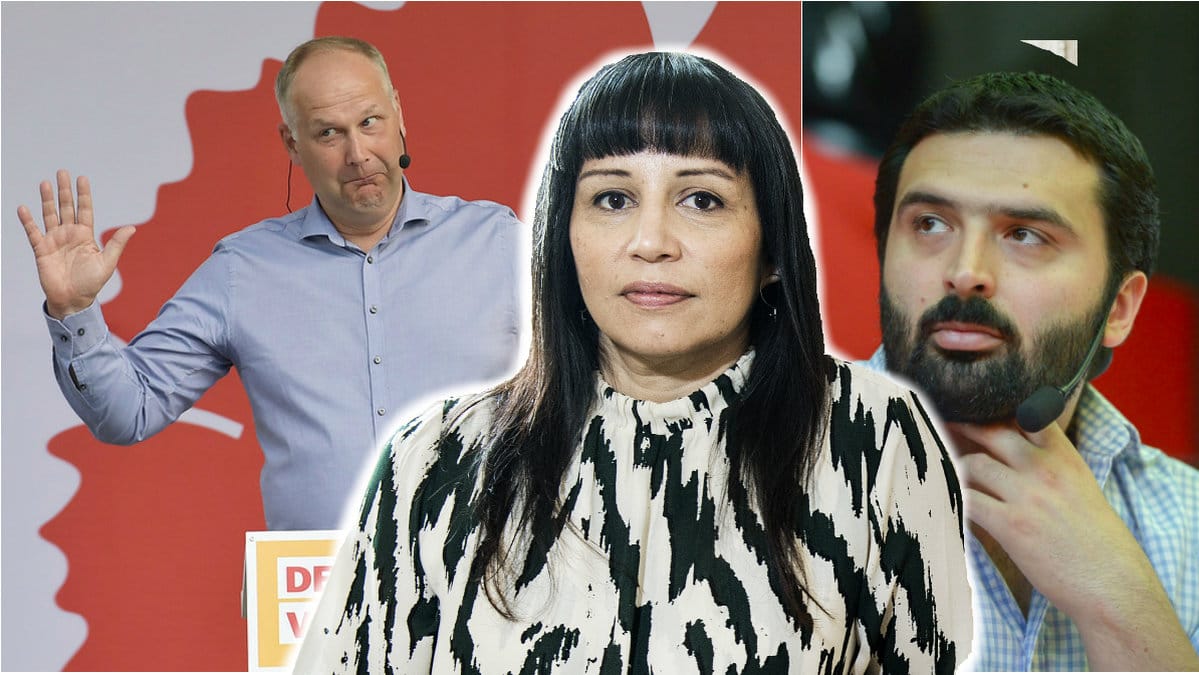 Jonas Sjöstedt, Rosanna Dinamarca och Ali Esbati