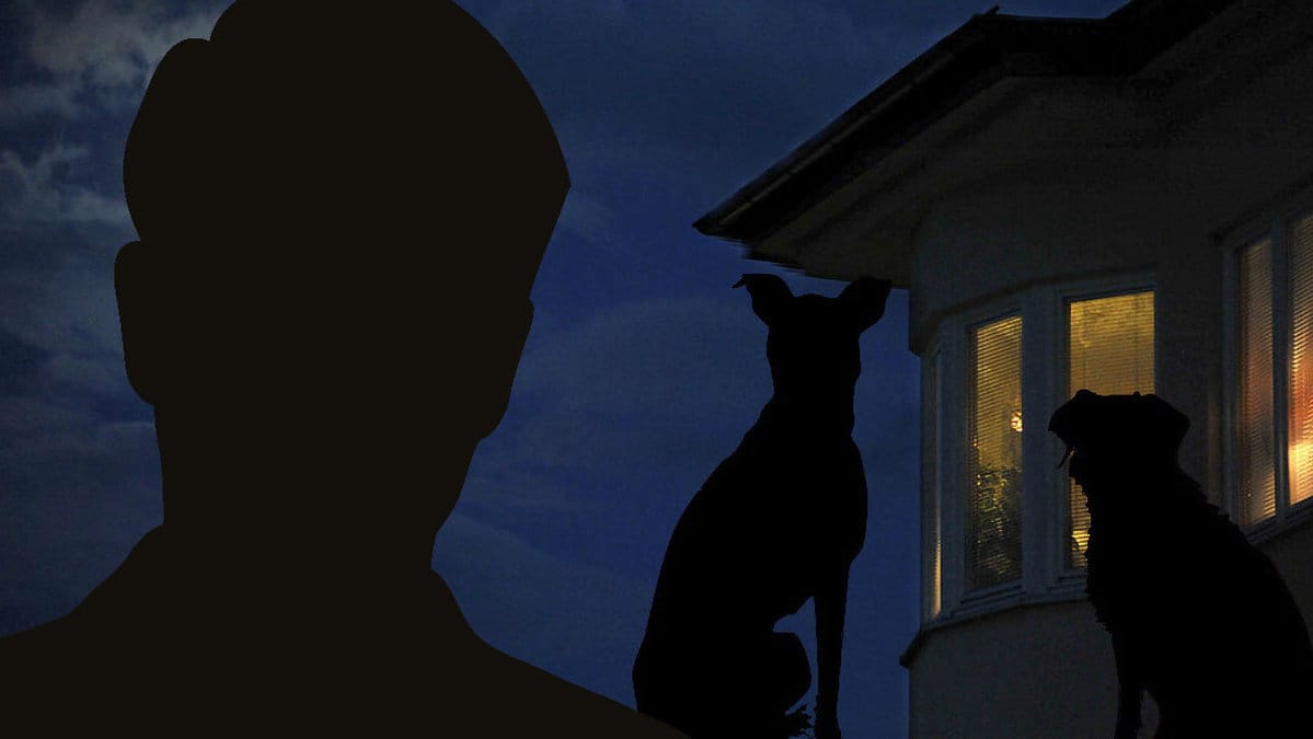 Sex hundar lämnade ensamma hemma utan vatten och mat i ett dygn. 